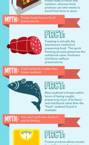Frozen Myth-Fact Infographic